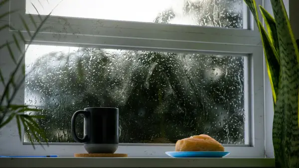 a cup of coffee and a piece of bread on a window sill
