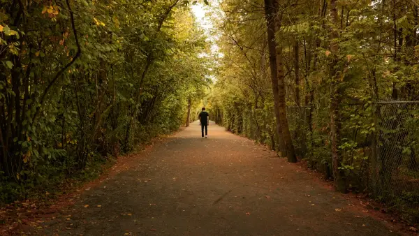 person in black jacket walking on pathway between trees during daytime