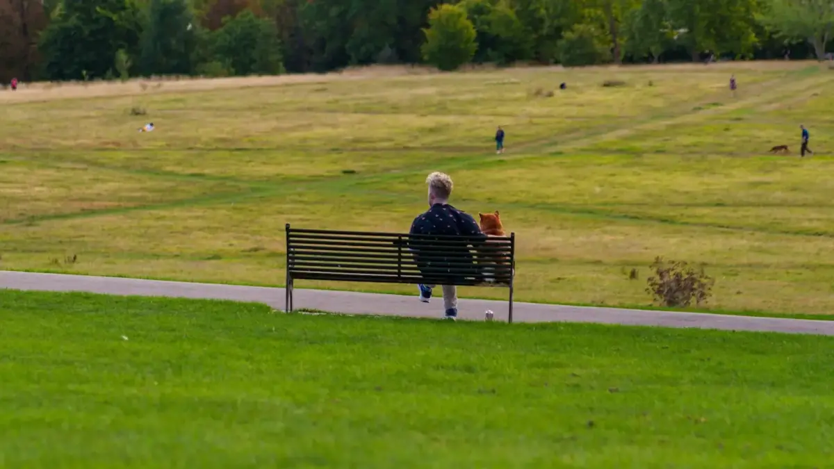 Person and dog sit on park bench overlooking grassy field.
