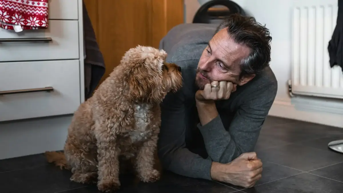 man in black sweater holding brown long coated small dog