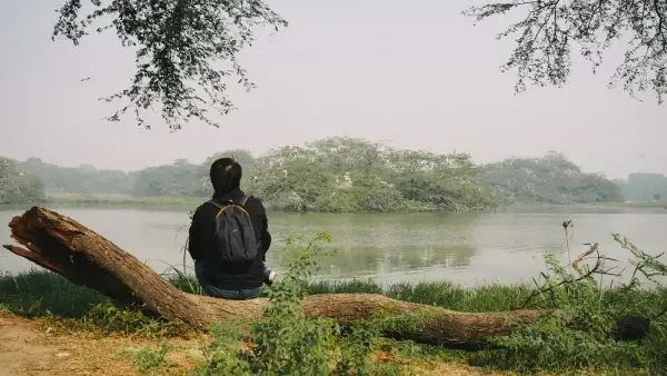 Person sitting on log by tranquil lake